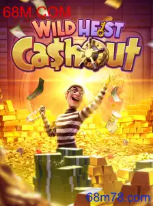 WildHeistCashout